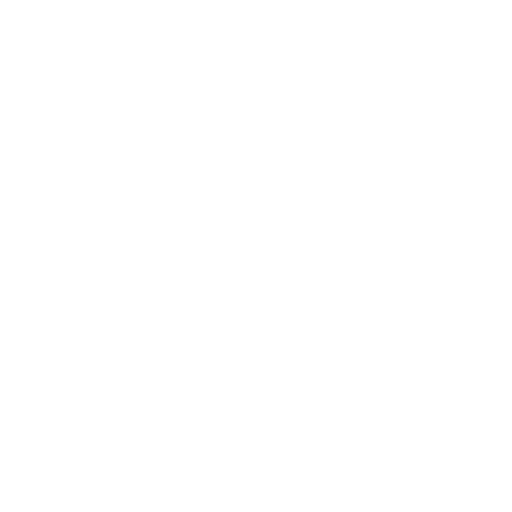 Google Maps Icon